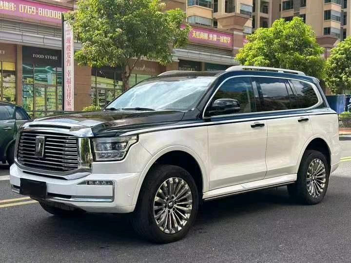 东莞23年长城汽车坦克2