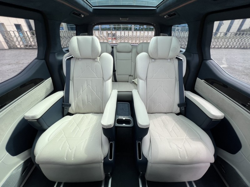 盐城24年极氪汽车0095