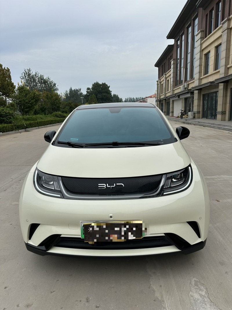 邢台25年比亚迪海豚1