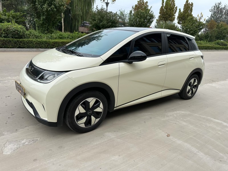 邢台25年比亚迪海豚2