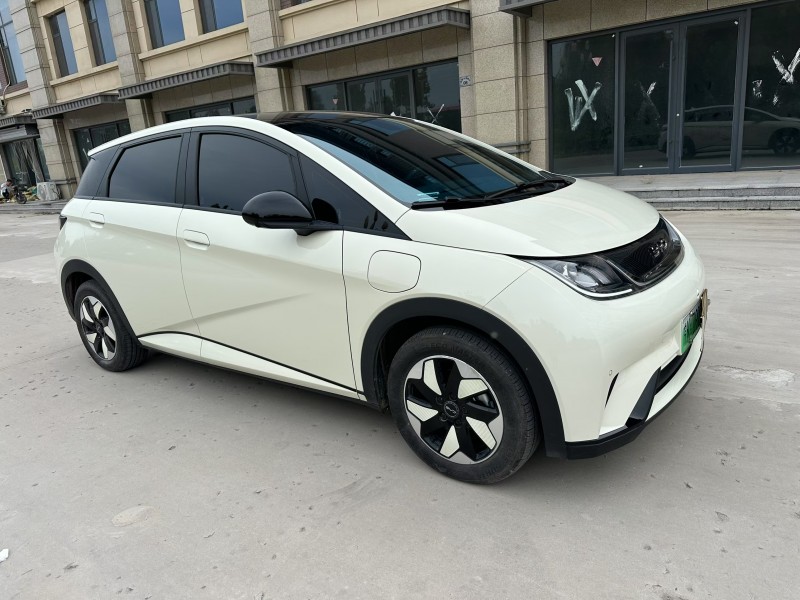 邢台25年比亚迪海豚3