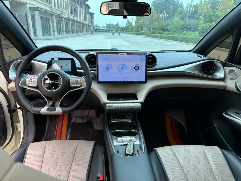 邢台25年比亚迪海豚5