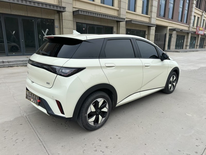 邢台25年比亚迪海豚7