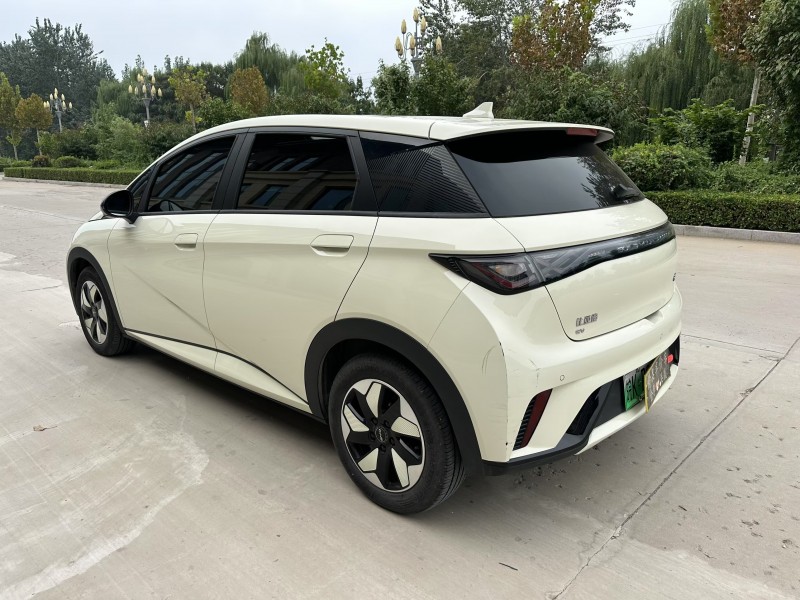 邢台25年比亚迪海豚8