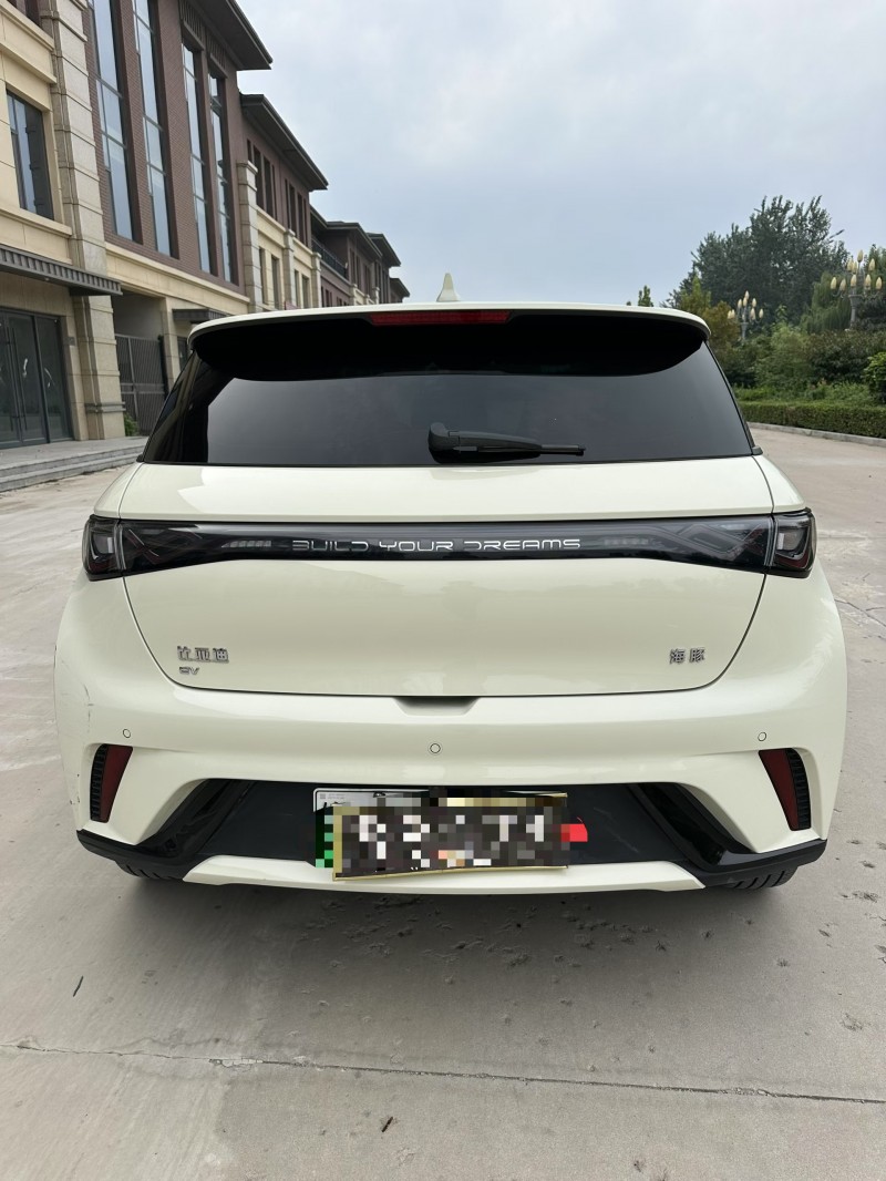 邢台25年比亚迪海豚9