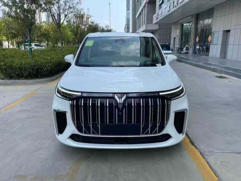 济宁25年岚图汽车梦想家1