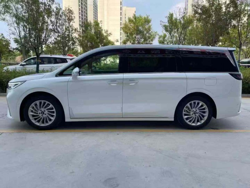 济宁25年岚图汽车梦想家9