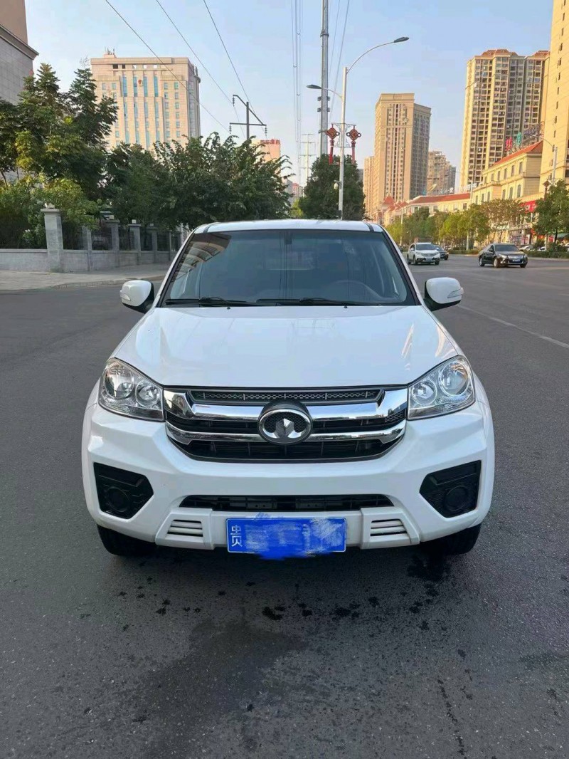 娄底21年长城汽车风骏1