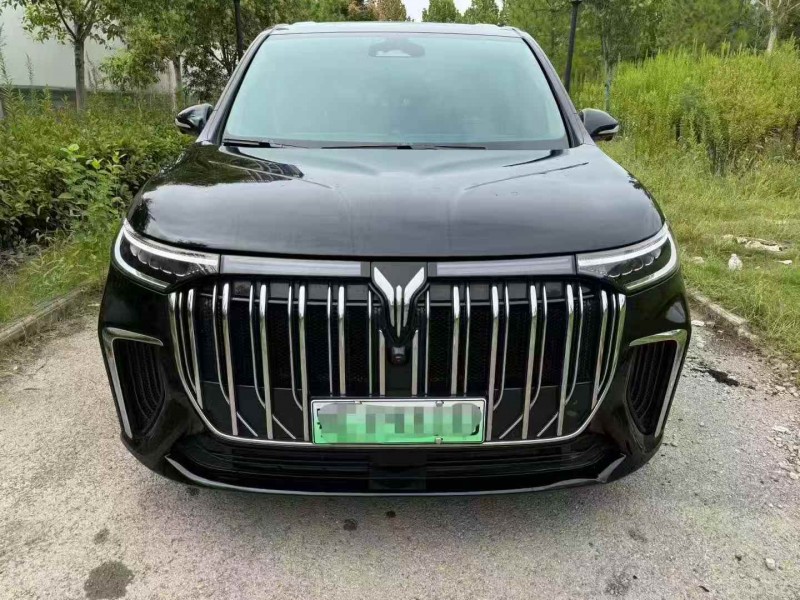 黄石23年岚图汽车梦想家1