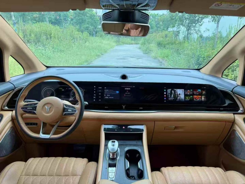 黄石23年岚图汽车梦想家4