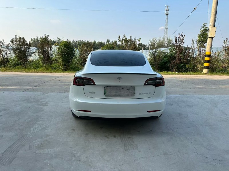 徐州21年特斯拉MODEL 39