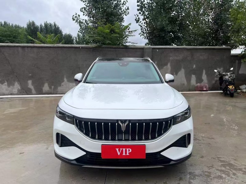 枣庄22年岚图汽车FREE1