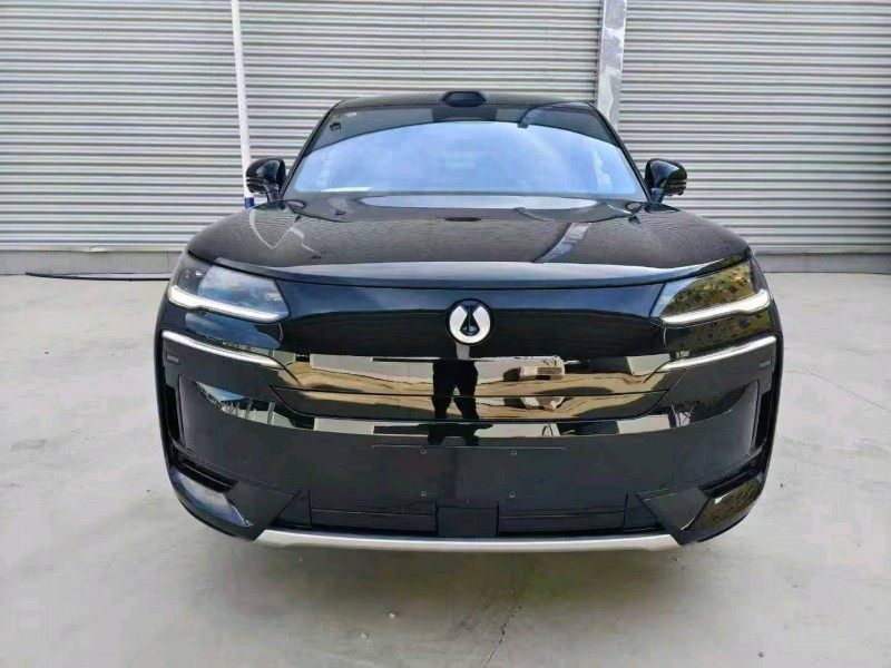 衡水25年腾势N91