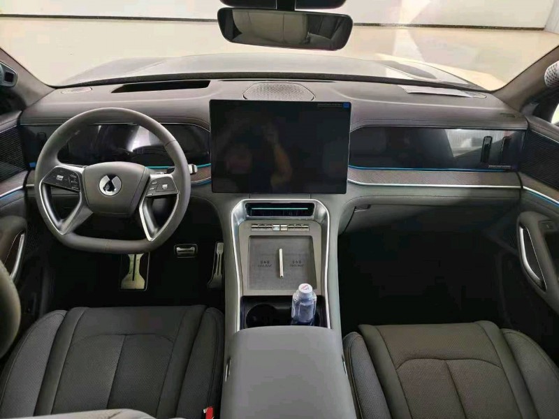 衡水25年腾势N95