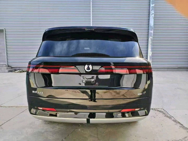 衡水25年腾势N99