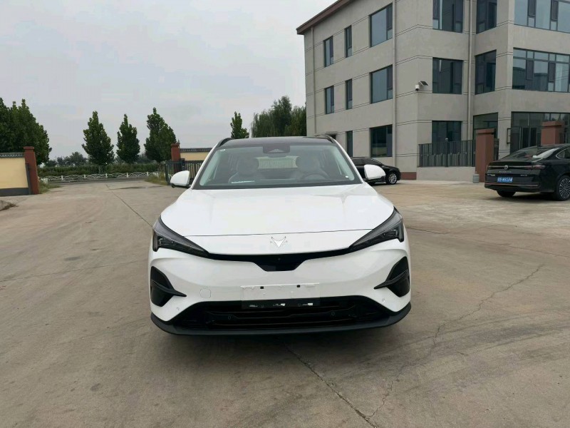 衡水25年极狐汽车阿尔法1