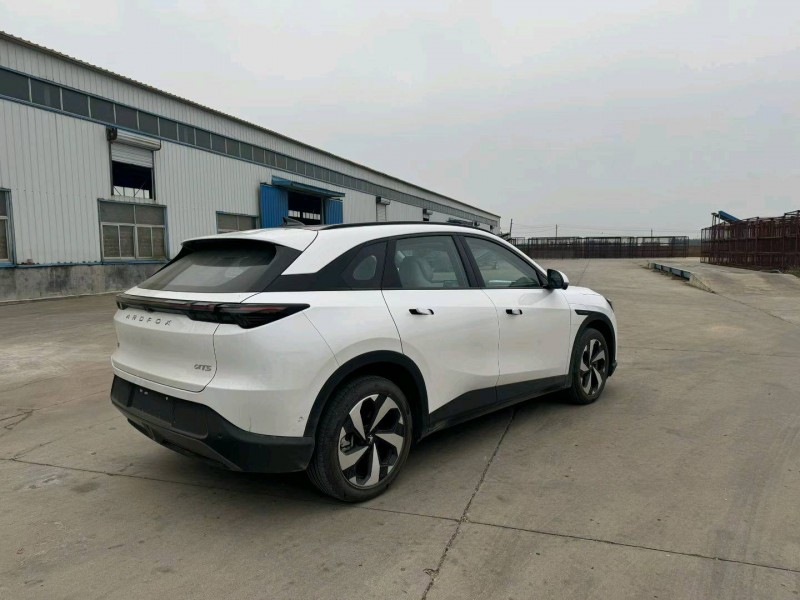 衡水25年极狐汽车阿尔法4