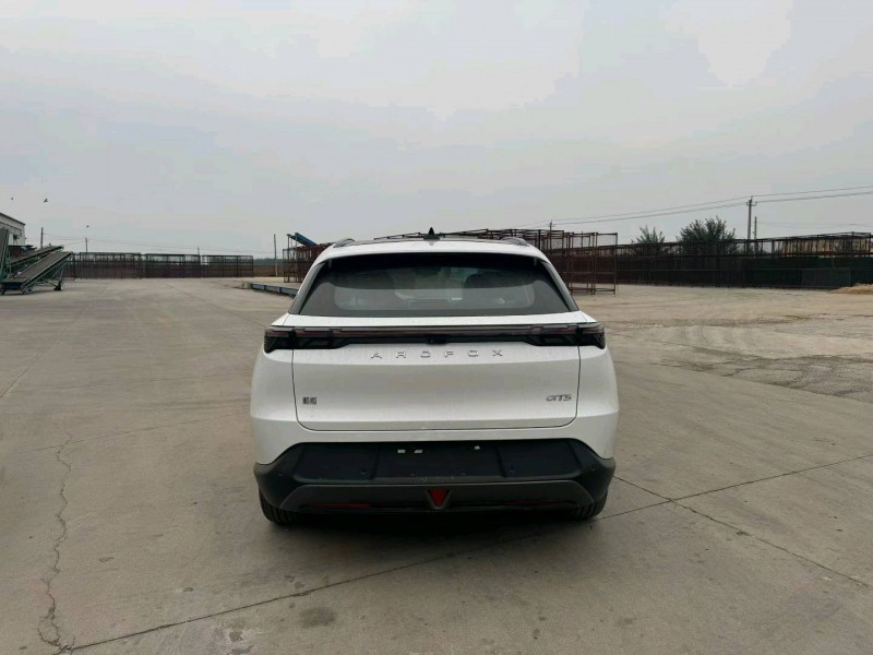 衡水25年极狐汽车阿尔法5