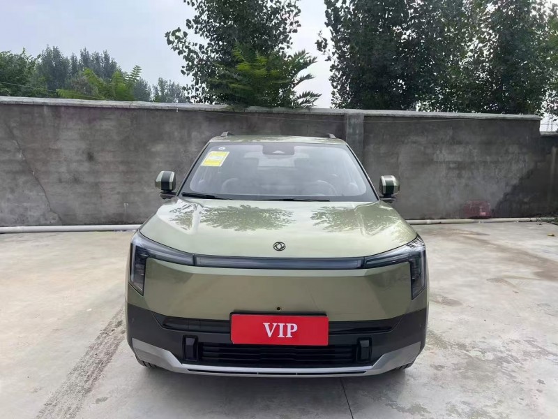 枣庄25年东风纳米1