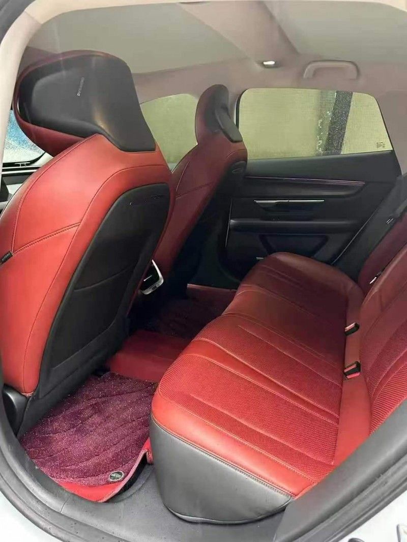 湛江21年小鹏汽车p75