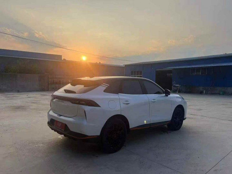 枣庄23年东风风行7