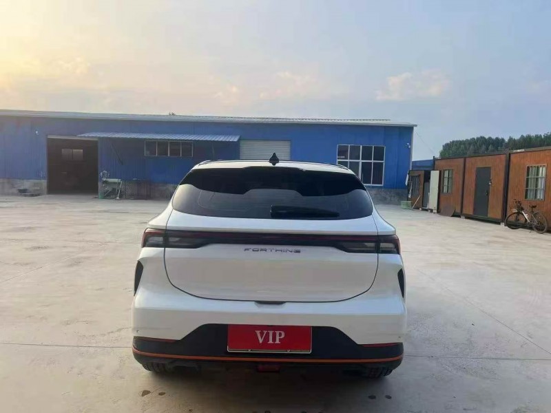 枣庄23年东风风行9