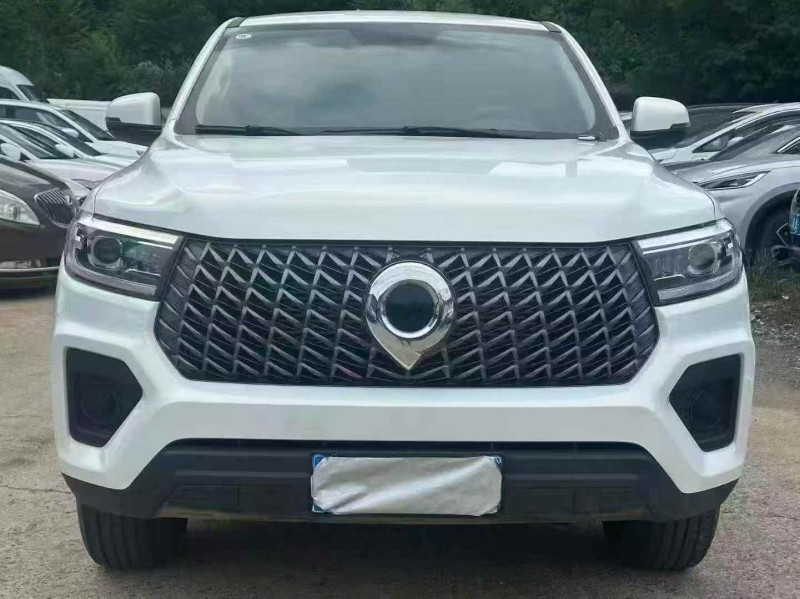 衡阳24年长城汽车炮 皮卡1