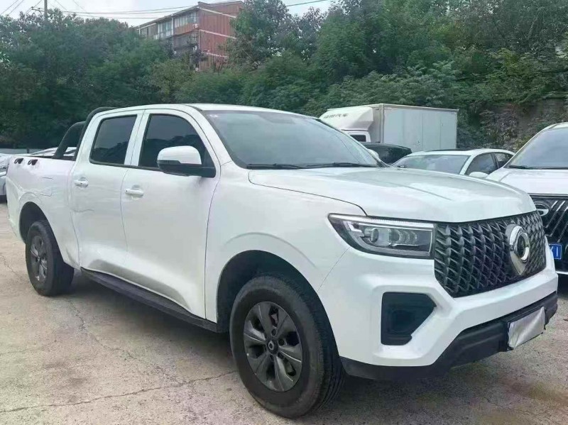 衡阳24年长城汽车炮 皮卡3