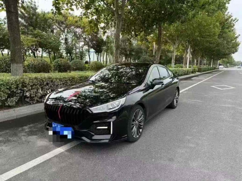 淄博20年红旗H53