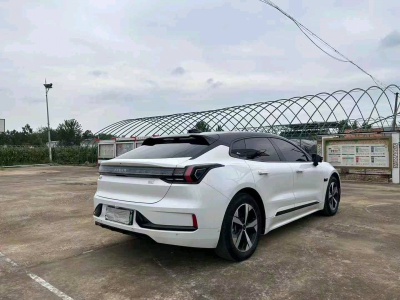 徐州24年极氪汽车0018