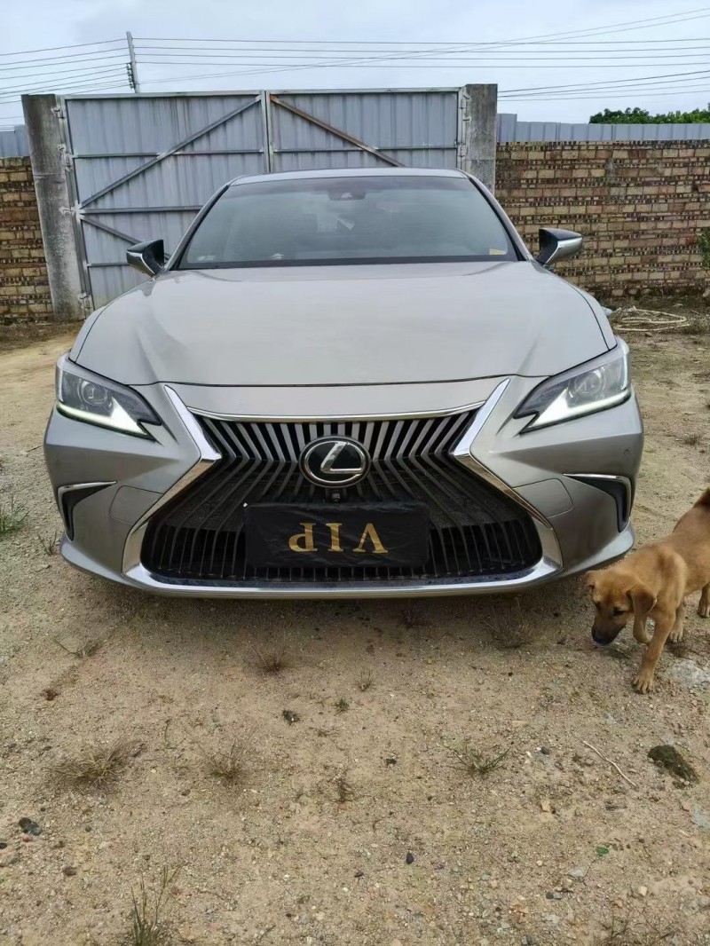 珠海19年雷克萨斯ES1