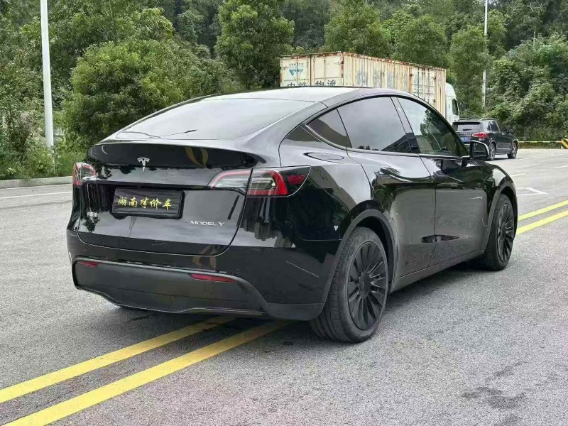 邵阳21年特斯拉MODEL Y8