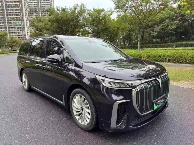 连云港24年岚图汽车梦想家2