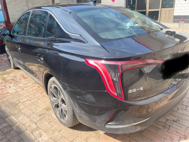 沧州22年红旗E-QM53