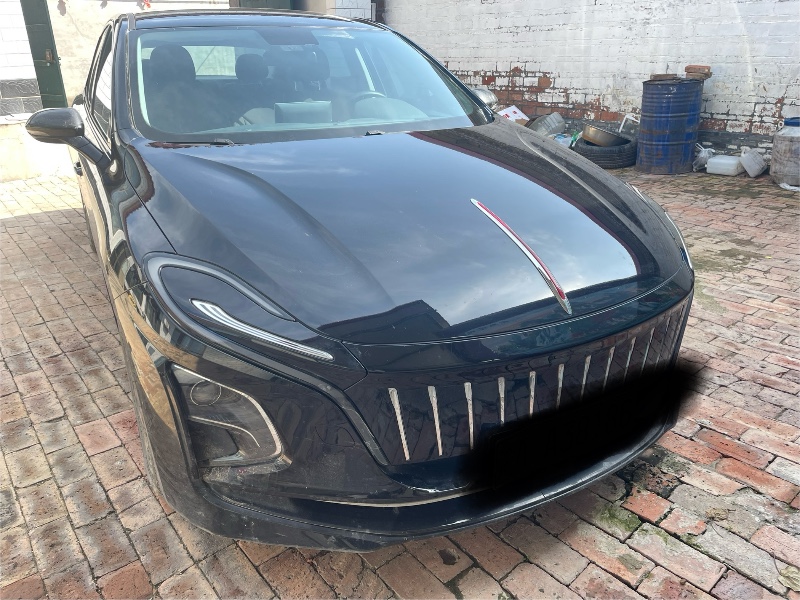 沧州22年红旗E-QM51