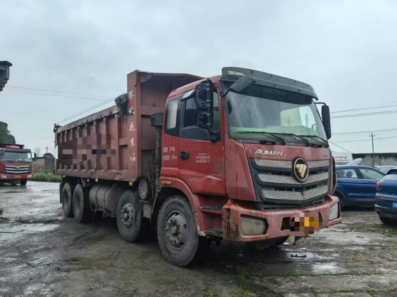 成都20年福田大将军3