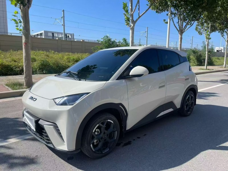 郑州24年比亚迪海鸥2