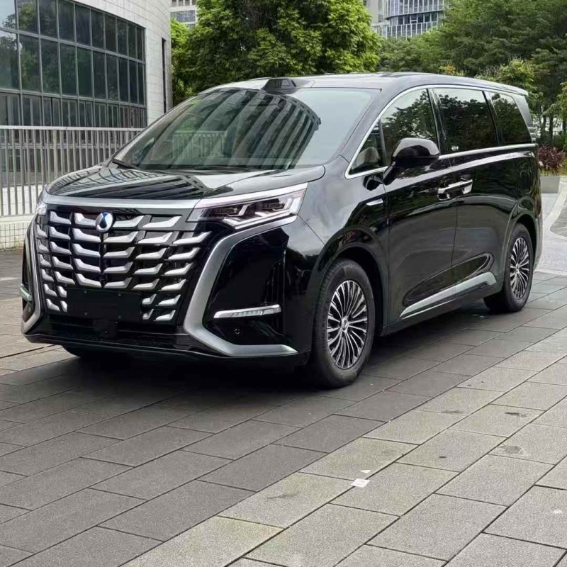 佛山25年腾势D93