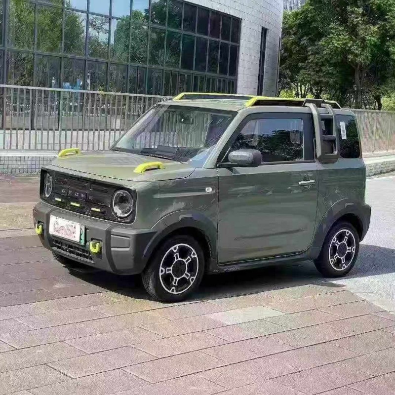 佛山24年吉利熊猫2