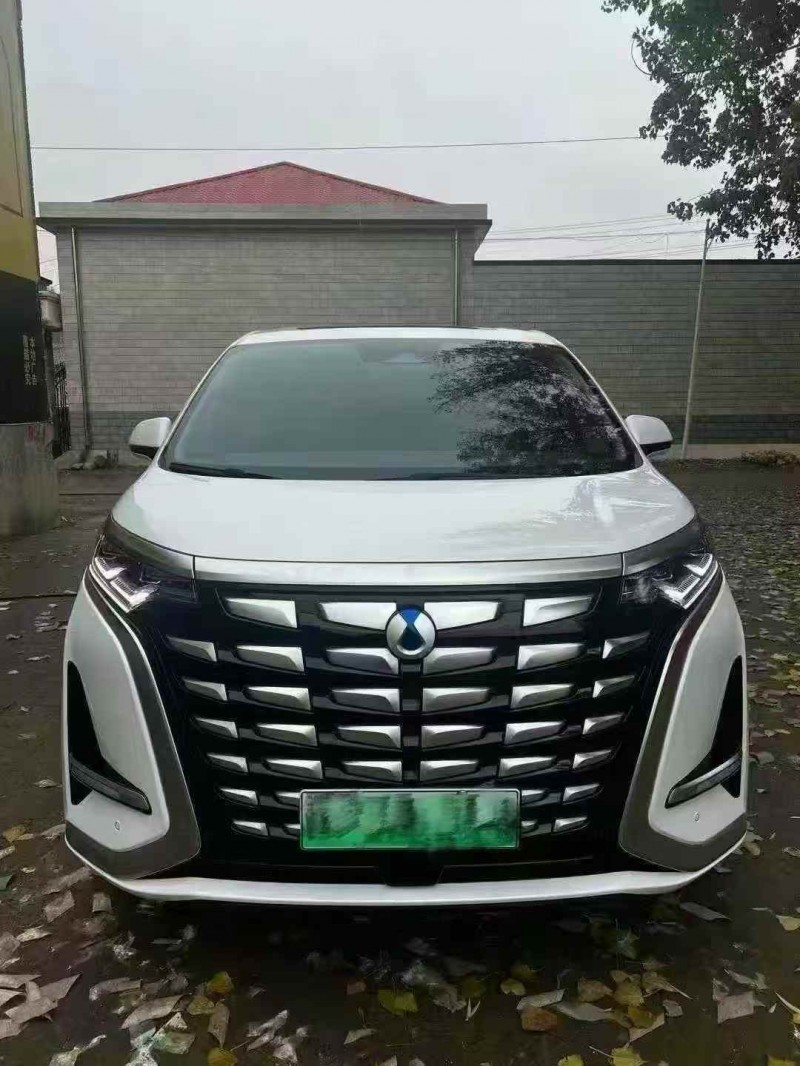 张家口24年腾势D91