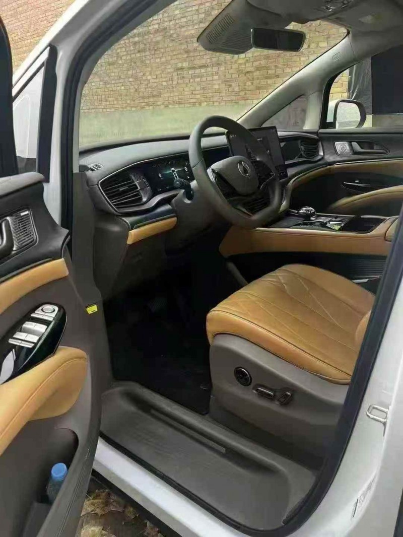 张家口24年腾势D96