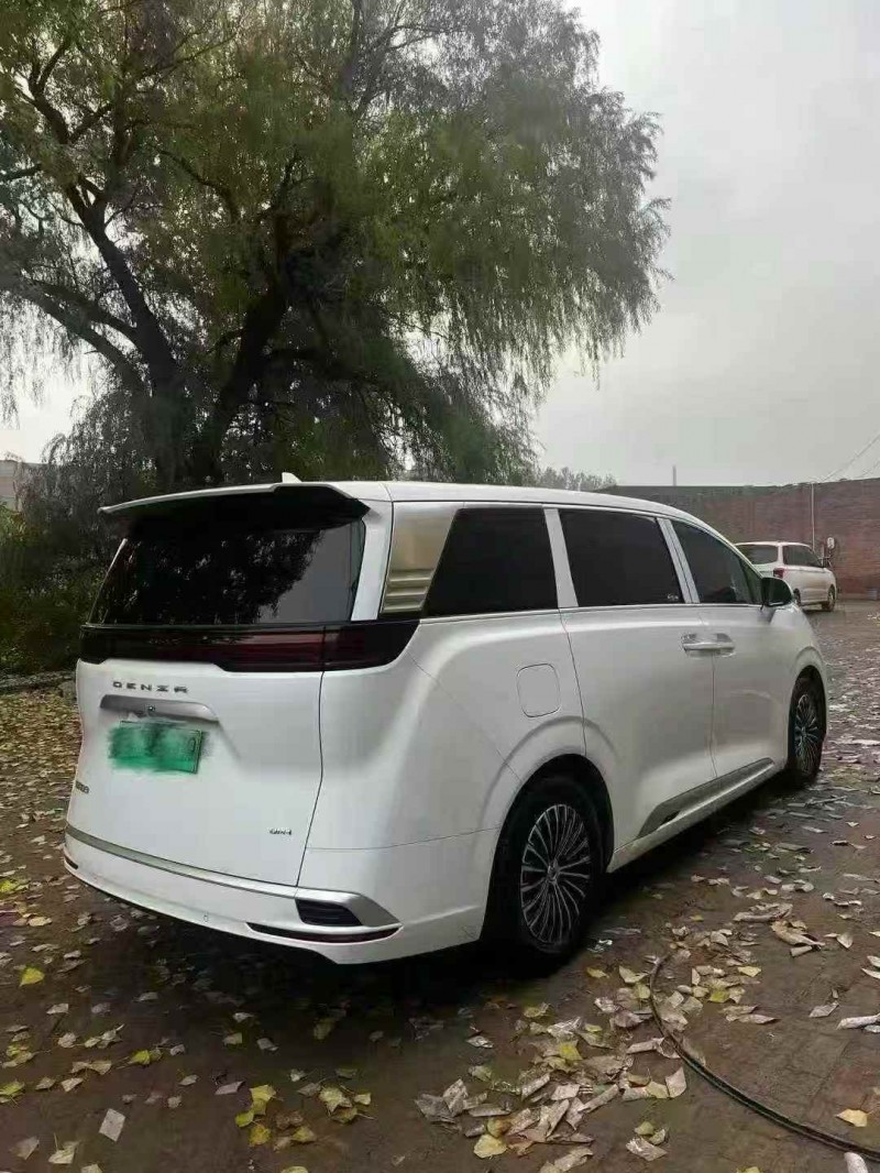 张家口24年腾势D98