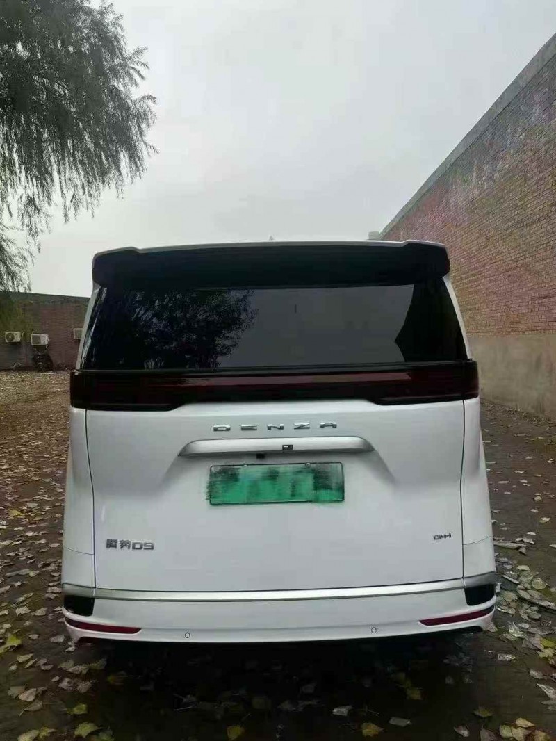 张家口24年腾势D99