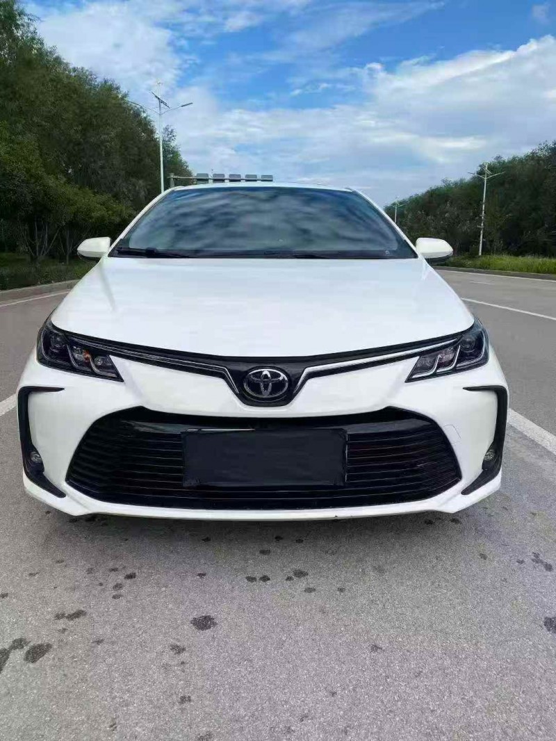 淄博24年丰田卡罗拉1