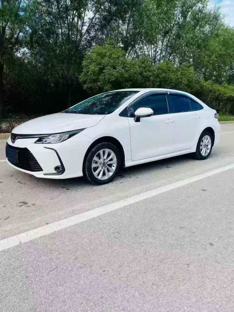 淄博24年丰田卡罗拉3