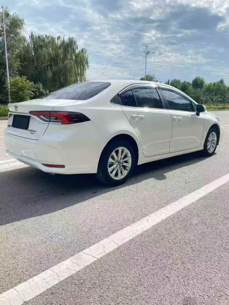 淄博24年丰田卡罗拉7