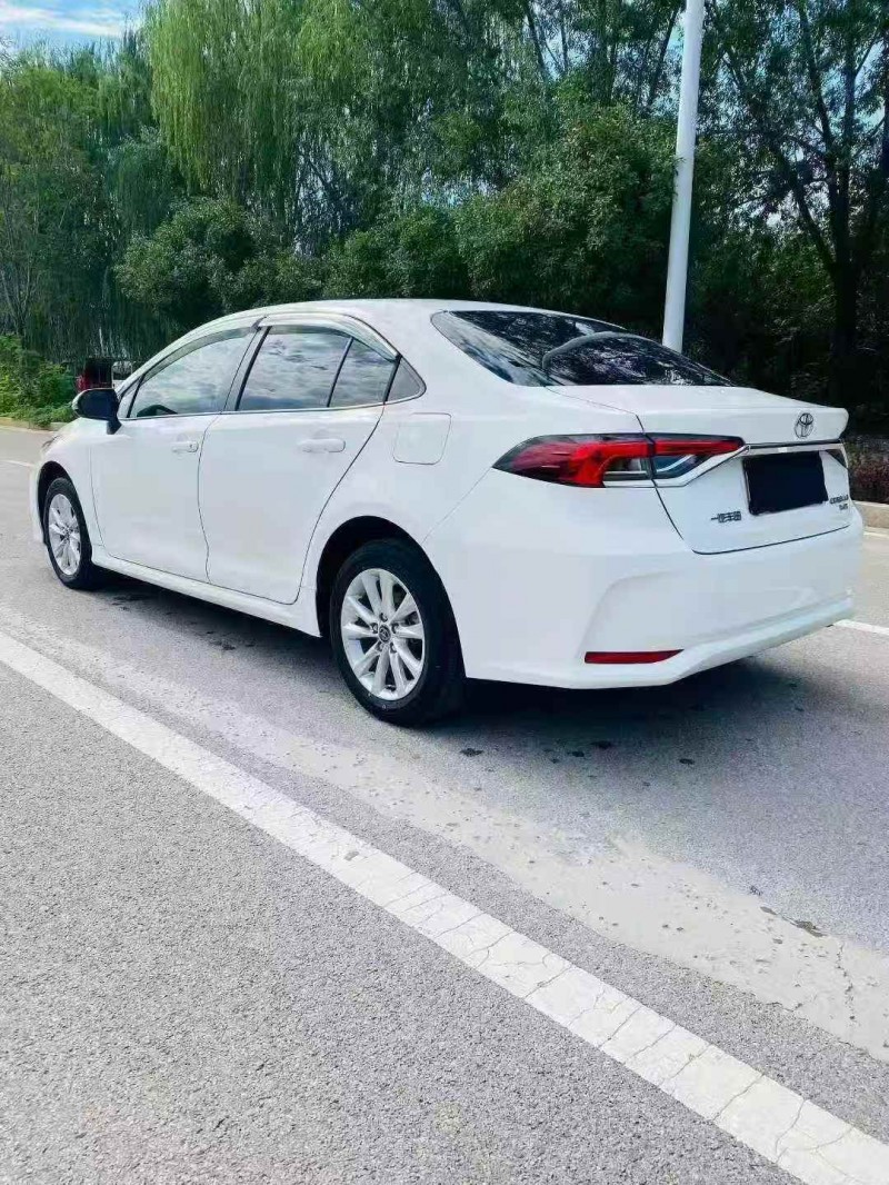 淄博24年丰田卡罗拉8