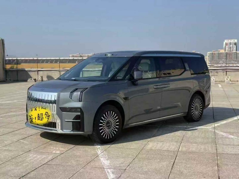 杭州24年极氪汽车0093