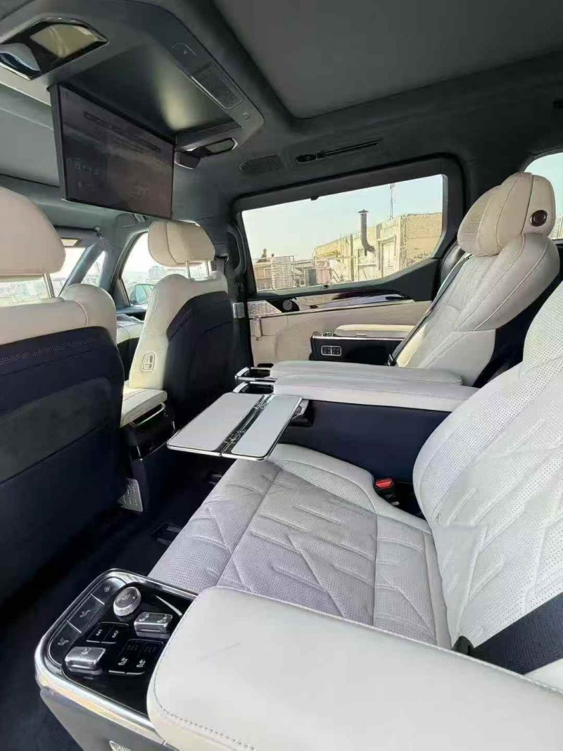 杭州24年极氪汽车0094