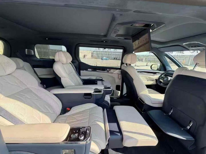 杭州24年极氪汽车0095